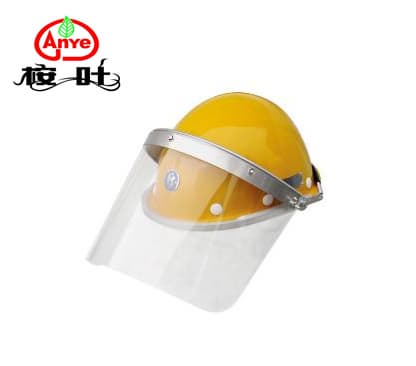 Interchangeable protective mask